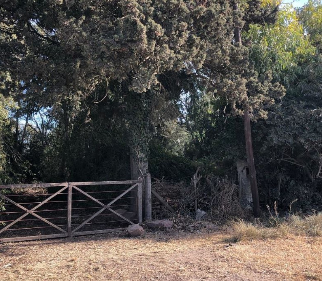 Venta lote Perito Moreno y Dean Funes