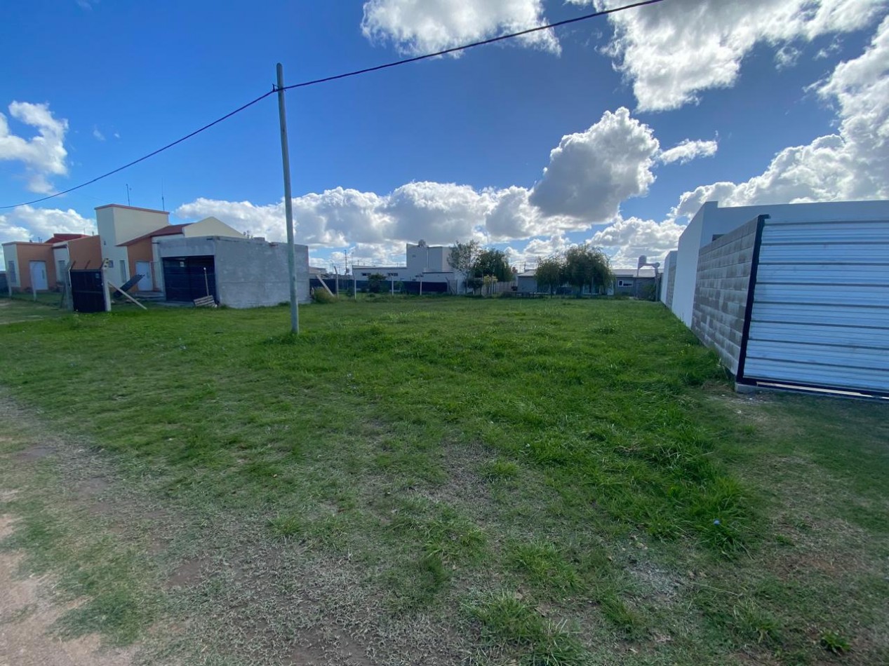 Lote Las Azucenas